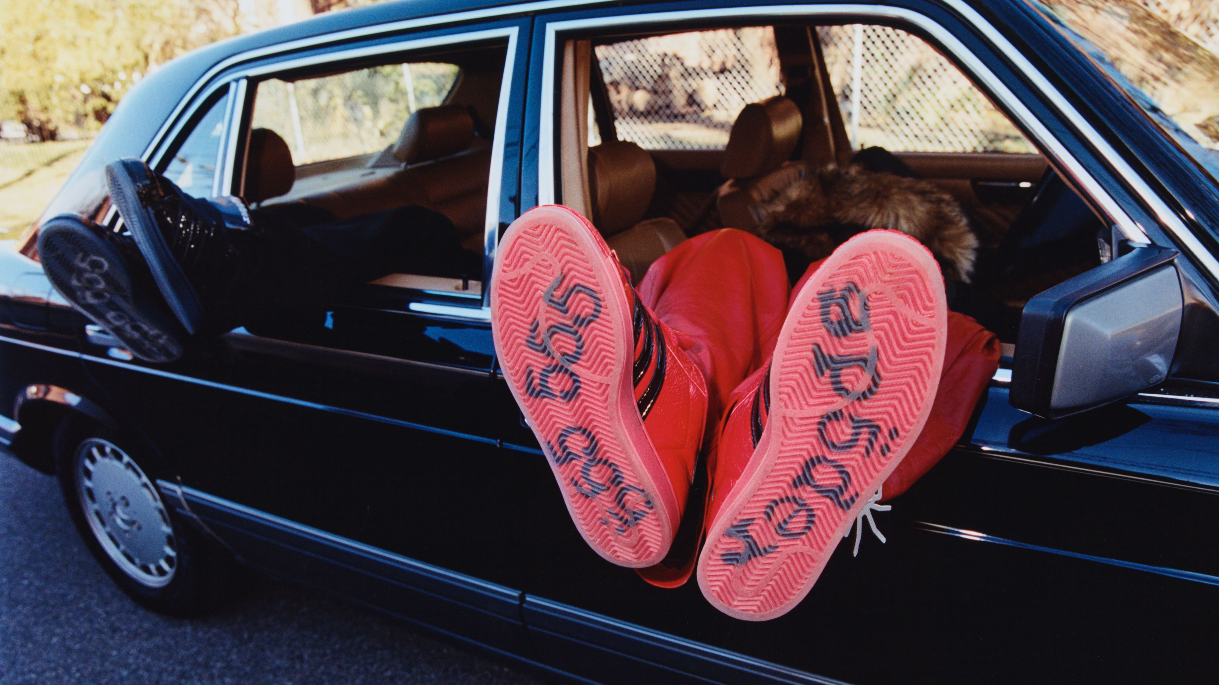 SP5 x adidas