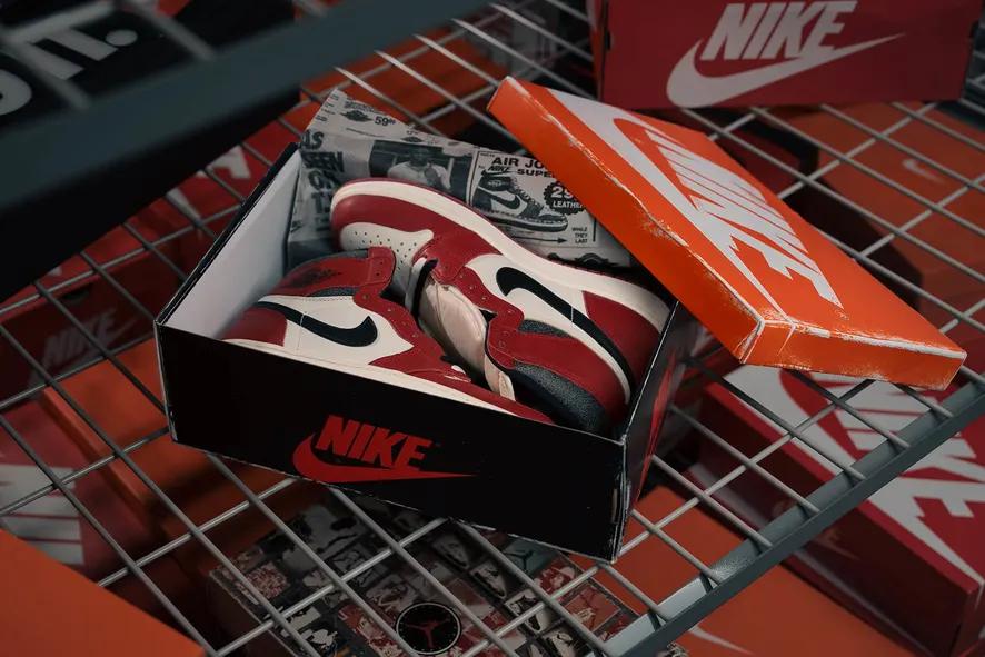Air Jordan 1 L&F