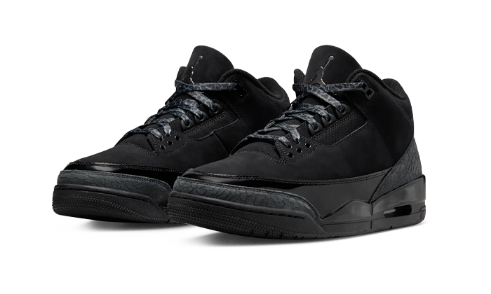 Air Jordan 3 - Black Cat